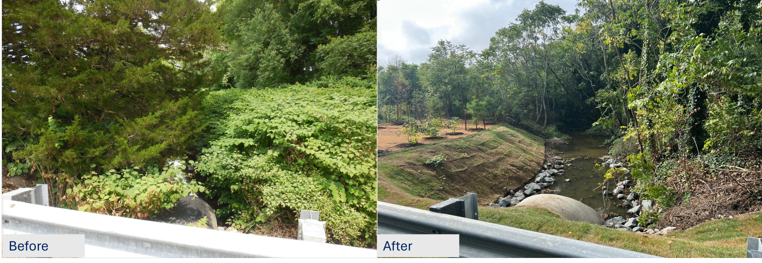 Before_After